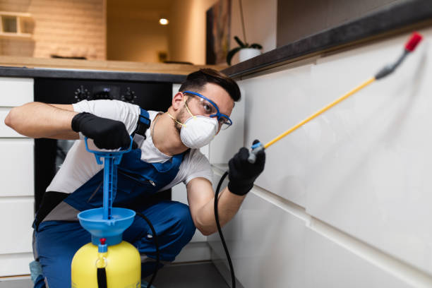 Pest Control for Restaurants in Tangent, OR