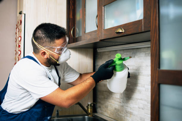 Best Cockroach Control Services  in Tangent, OR