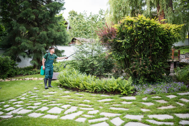 Best Residential Pest Control  in Tangent, OR