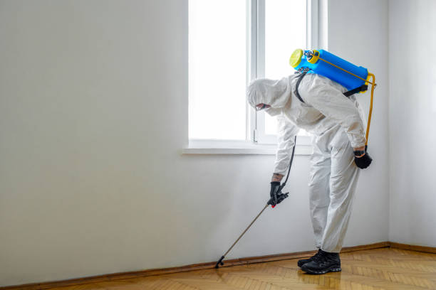 Best Affordable Pest Control Services  in Tangent, OR