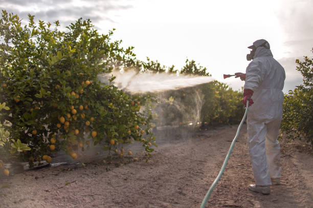 Professional Pest Control in Tangent, OR