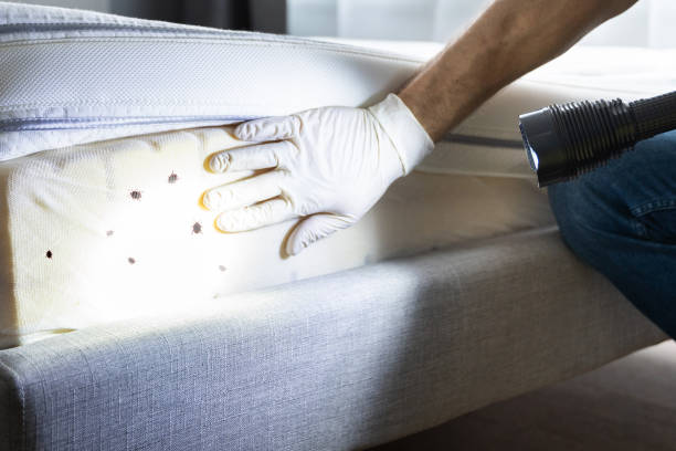 Best Pest Control for Businesses  in Tangent, OR